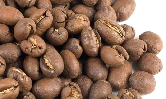 Vùng trồng cà phê Đắk Lắk