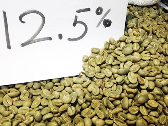Tiêu chuẩn độ ẩm cà phê xanh là 12,5%