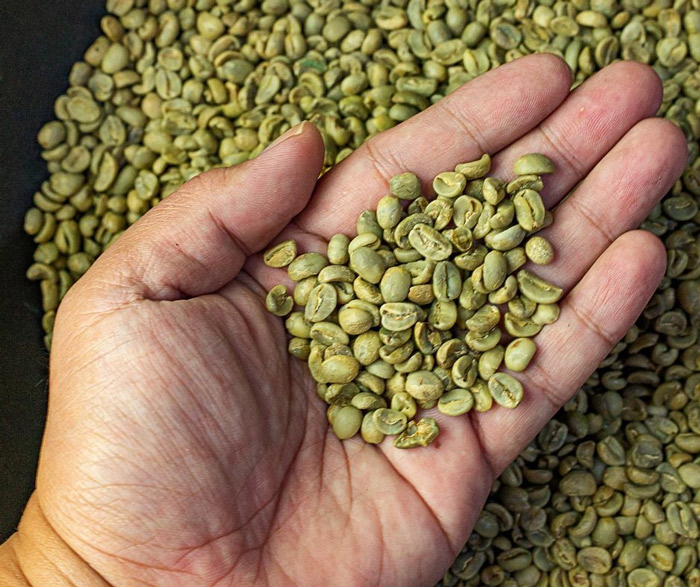 Độ ẩm cà phê tiêu chuẩn là bao nhiêu