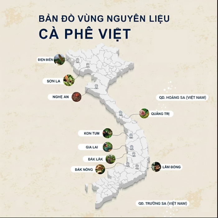 Bản đồ vùng trồng cà phê Robusta Việt Nam