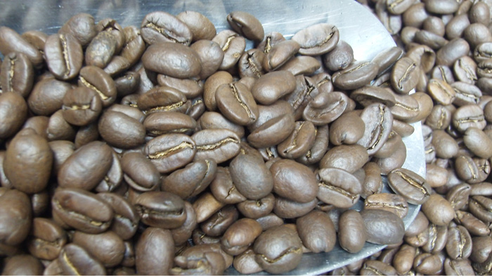 Phân loại hạt cà phê rang vừa
