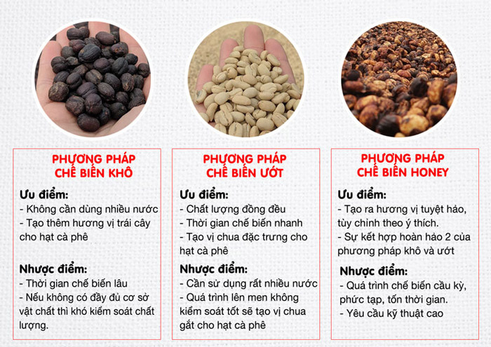 Phân loại hạt cà phê theo phương pháp chế biến