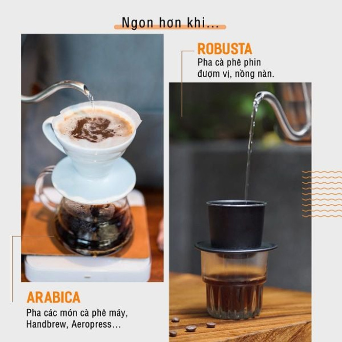 Cà phê Robusta pha phin truyền thống