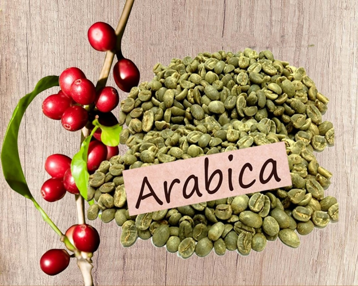 Cà phê Arabica